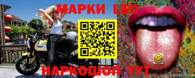 МДПВ Донской