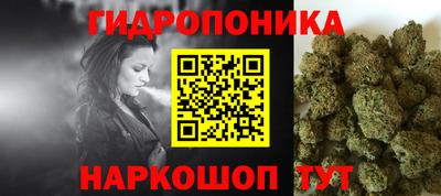 индика Донецк