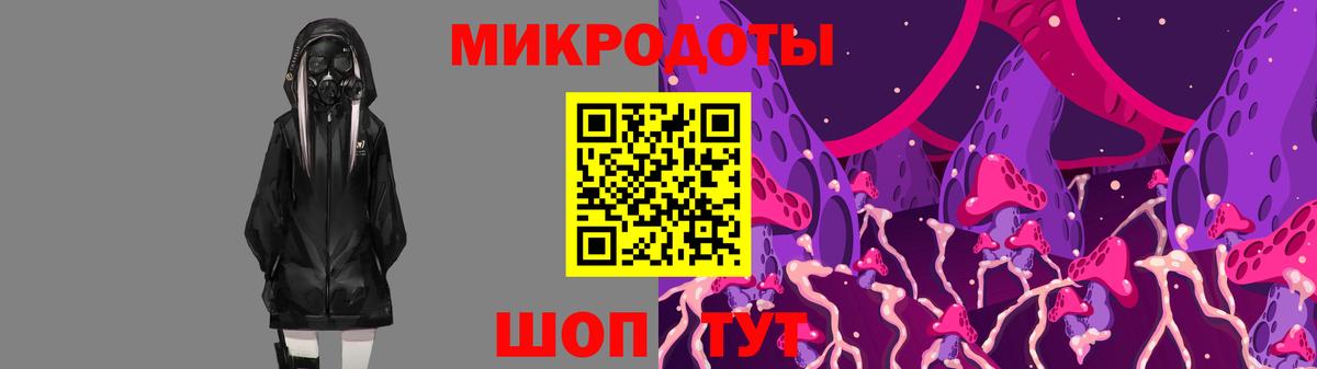 Галлюциногенные грибы Psilocybe  Вход с VPN  Галлюциногенные грибы Magic Shrooms  Заводоуковск 